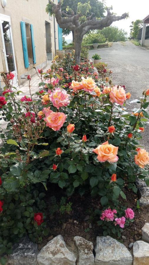 La Vigneronne Bed & Breakfast Villelongue-d'Aude Luaran gambar