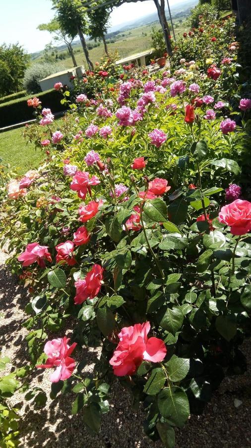 La Vigneronne Bed & Breakfast Villelongue-d'Aude Luaran gambar